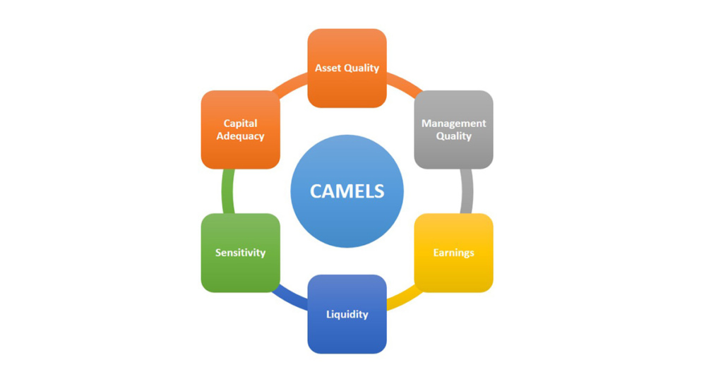 CAMELS Rating