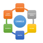 CAMELS Rating