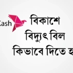 Bidyut Bill Payment Through bKash