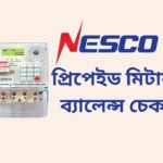NESCO Prepaid Meter Balance Check