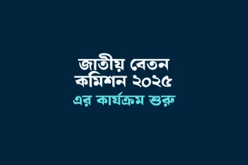 pay commission 2025 gov bd