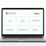 eReturn Filing Start